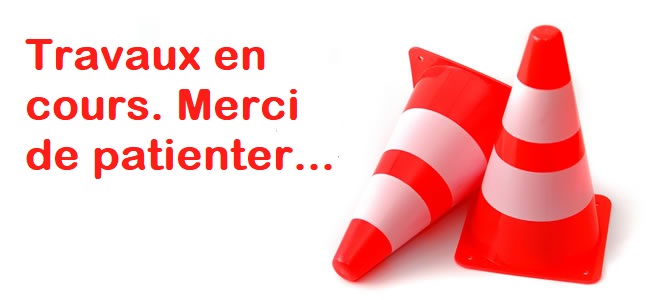 Travail en cours, merci de patienter...