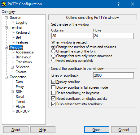 Panneau de configuration 'Window' de PuTTY 0.76